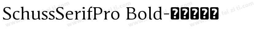 SchussSerifPro Bold字体转换